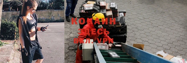 каннабис Верея