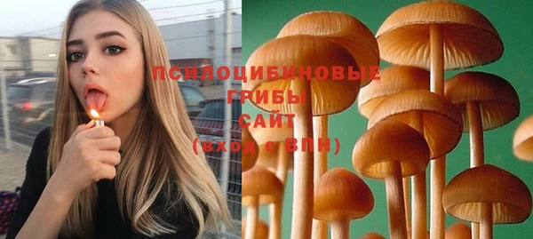 каннабис Верея
