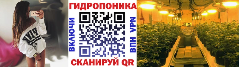 Бошки марихуана план  omg рабочий сайт  Энгельс  наркота 